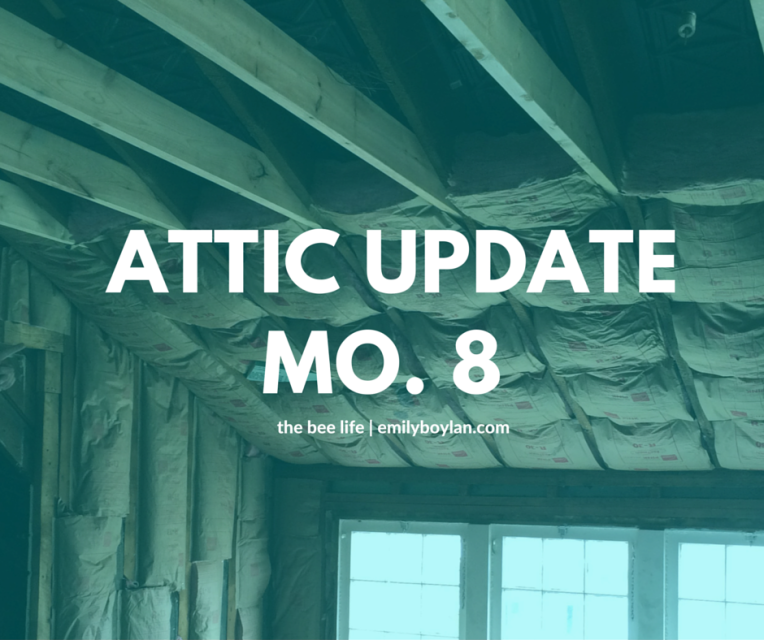 Attic Update Month 8 - the bee life